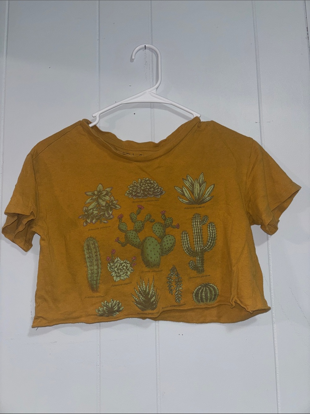 Fifth Sun Mustard Yellow Succulent Graphic Crop Top - Picture 3 of 6
